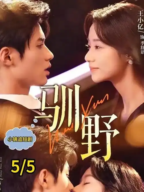 绿野放映 海报画廊第四张